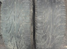 Pirelli Barum Continental R-16, Vasarinės
