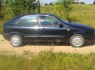 Fiat Brava 1996 m., Hečbekas (1)