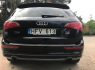 Audi Q5 2010 m., Visureigis (8)