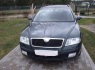 Skoda Octavia 2005 m., Universalas (1)