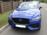 Jaguar -kita- 2018 m., Visureigis (7)