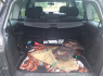 Opel Zafira 2006 m., Vienatūris (14)
