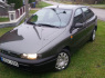 Fiat Brava 1997 m., Hečbekas (2)