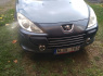 Peugeot 307 2007 m., Universalas (3)