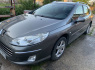Peugeot 407 2010 m., Universalas (3)