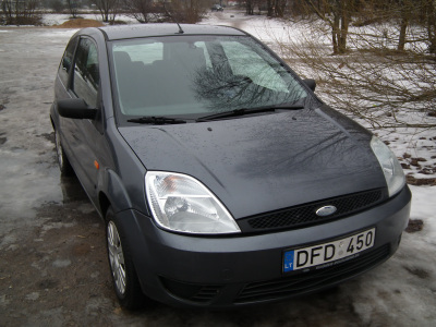 Ford Fiesta 2004 m., Hečbekas